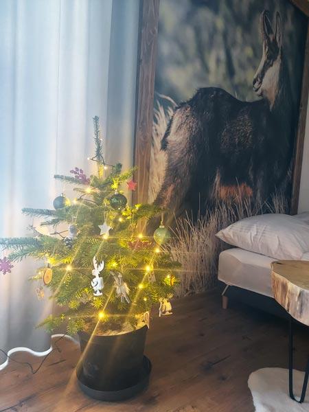 Święta Bożego Narodzenia w Górach na Podhalu w Zakopanem i Kościelisku