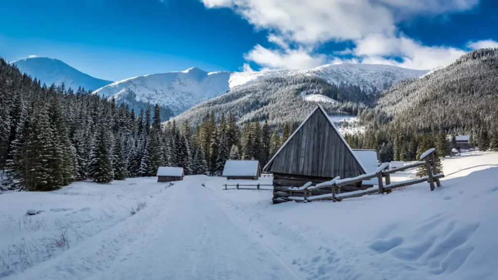 Dolina Chochołowska zimą 2024, Atrakcje turystyczne w okolicy Kościeliska, Apartament w Kościelisku