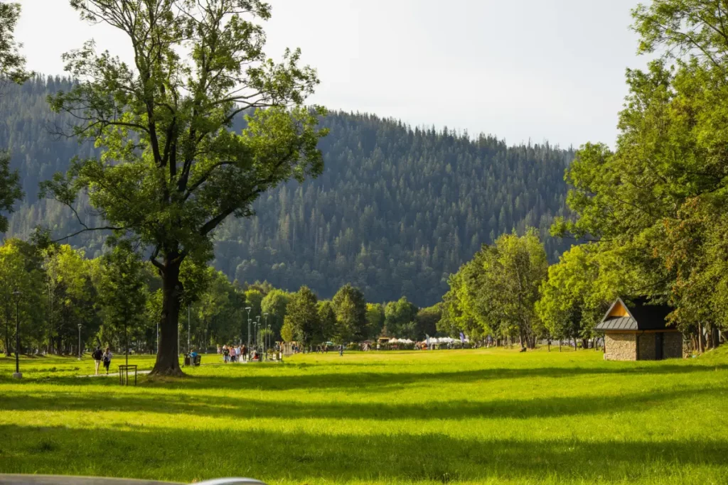 Zakopane w jeden dzień, Rówień Krupowa Zakopane