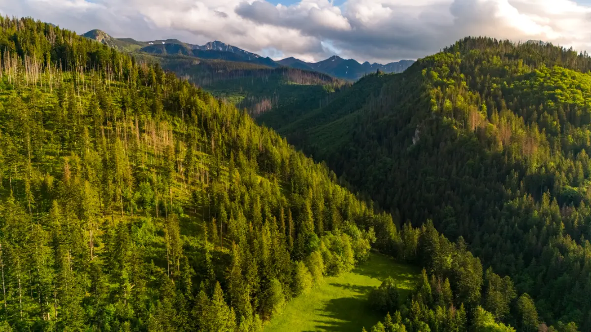Widok na Tatry Widok na Ta