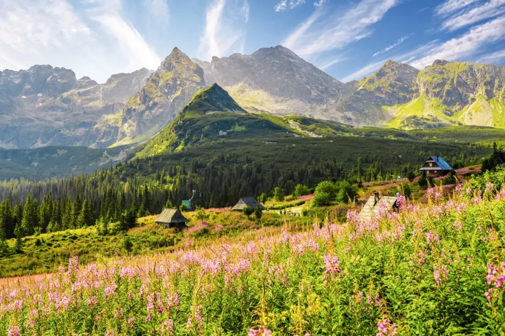 Hala Gąsienicowa i panorama Tatr Wysokich, Tatry szczyty dla początkujących