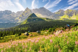 Hala Gąsienicowa i panorama Tatr Wysokich, Tatry szczyty dla początkujących